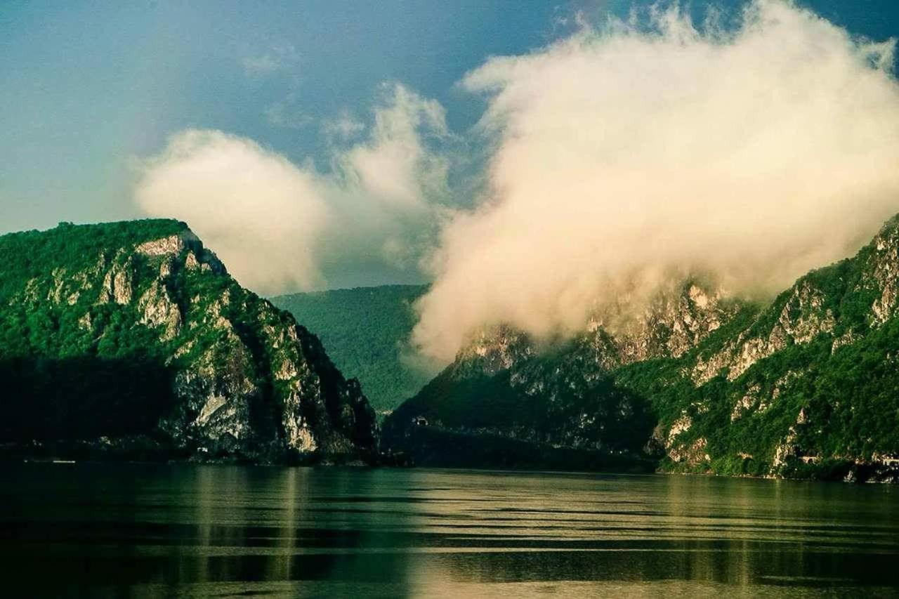 Vila Golful Dunarii Dunatölgyes Kültér fotó